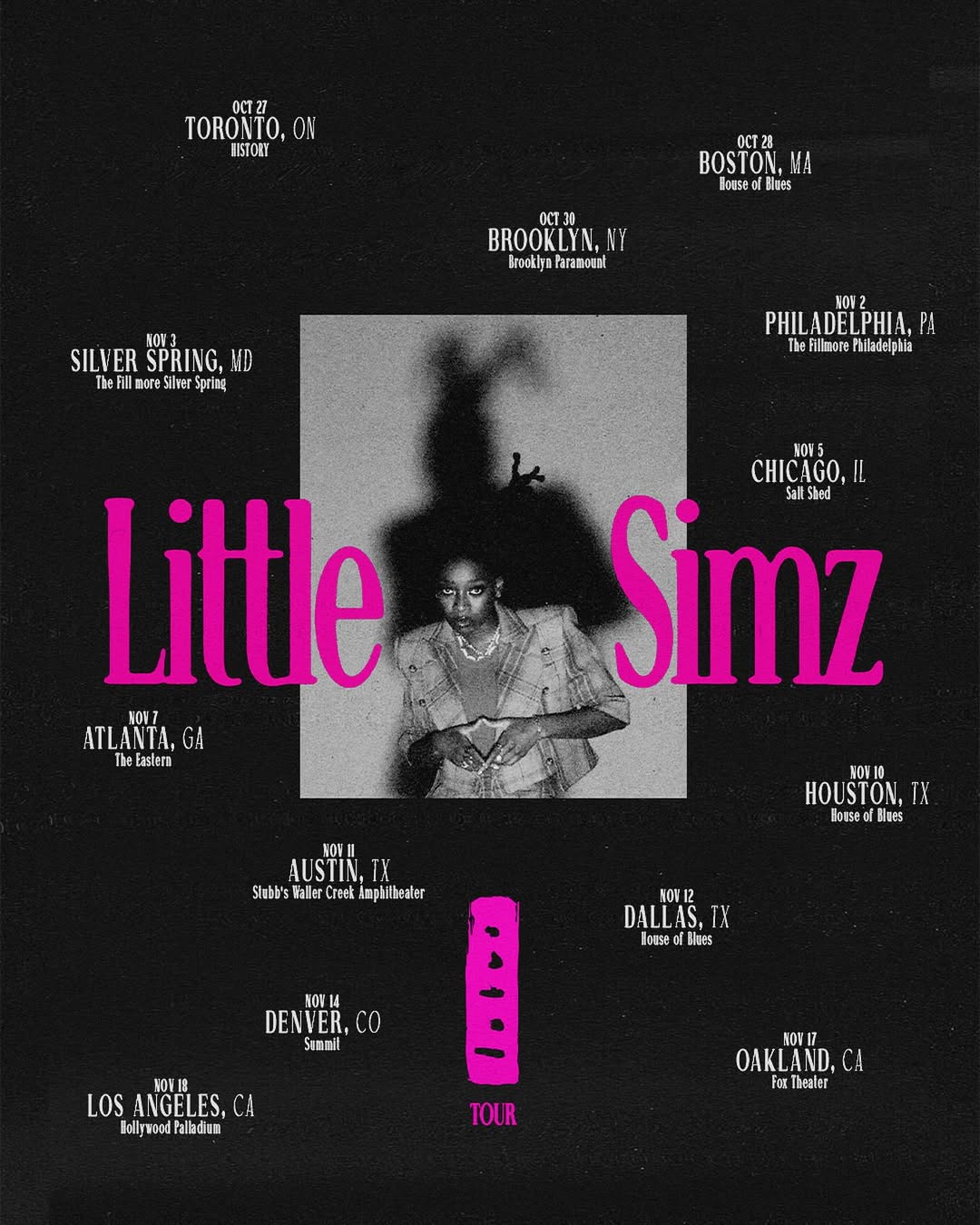 Little Simz The Lotus Tour Poster 2025